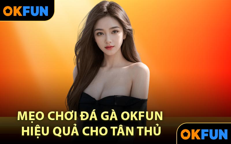 Mẹo chơi đá gà OKFUN hiệu quả cho tân thủ