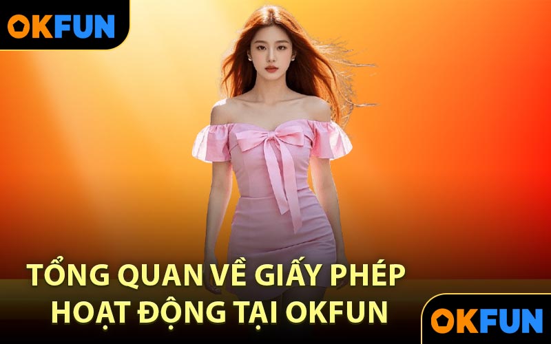 Tổng quan về giấy phép hoạt động tại OKFUN